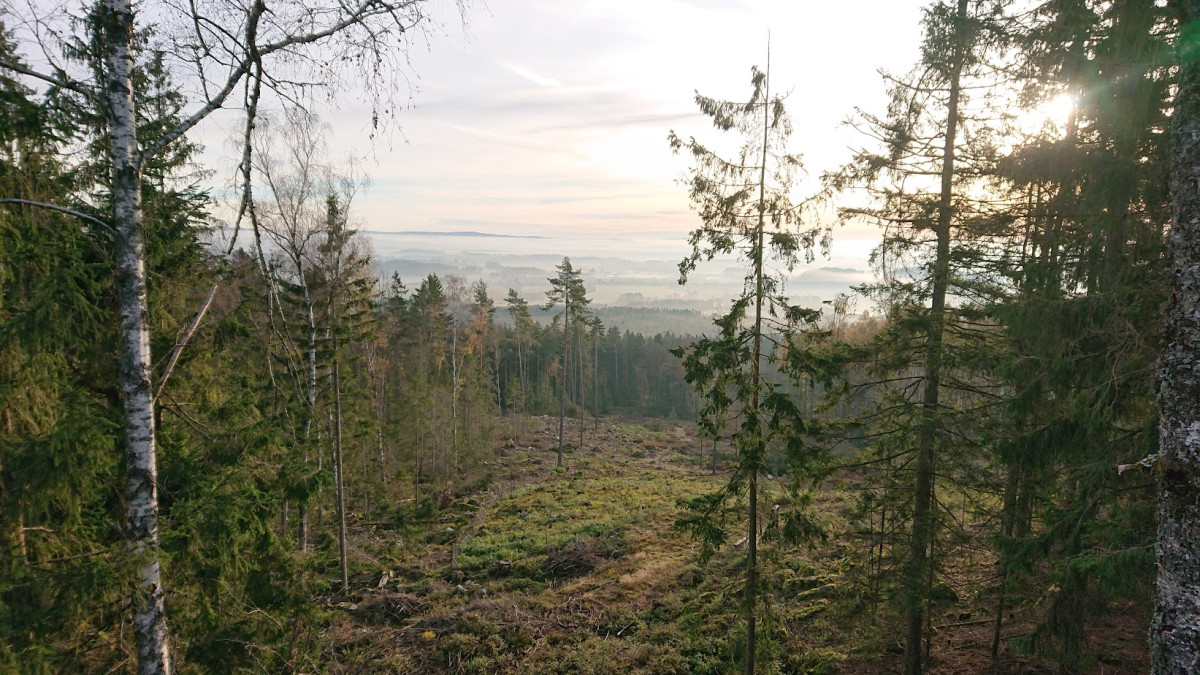 Změna klimatu - poslechněte si sociálního a enviromentálního psychologa Jan Krajhlanzla.