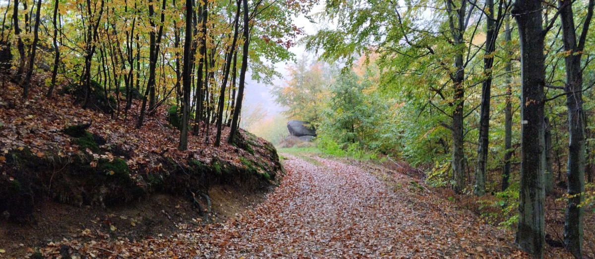 Liberecký kraj podporuje cyklisty